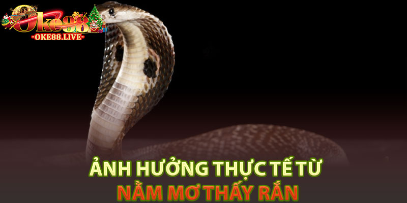 Ảnh hưởng thực tế từ nằm mơ thấy rắn