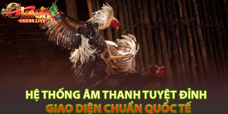 Hệ thống âm thanh tuyệt đỉnh – Giao diện chuẩn quốc tế