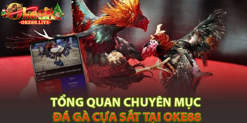 Tổng quan chuyên mục đá gà cựa sắt tại Oke88