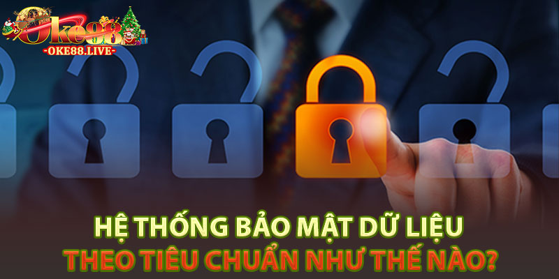 Hệ thống bảo mật dữ liệu theo tiêu chuẩn như thế nào?